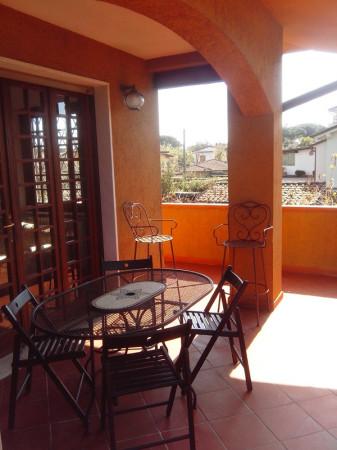 immagine annuncio 6 di 14