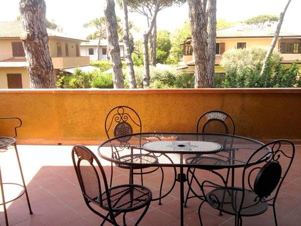 immagine annuncio 7 di 14