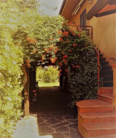 immagine annuncio 11 di 14