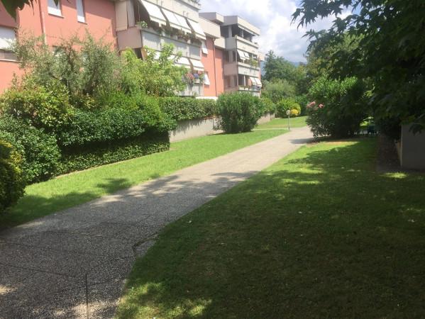 immagine annuncio 8 di 9