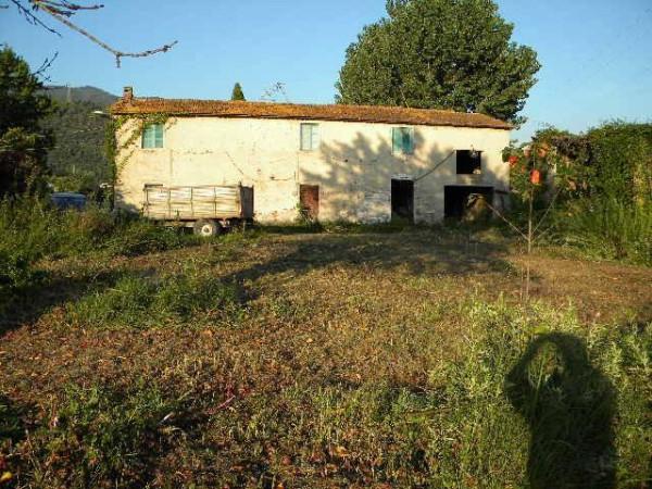 immagine annuncio 5 di 6