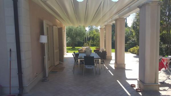 immagine annuncio 4 di 7