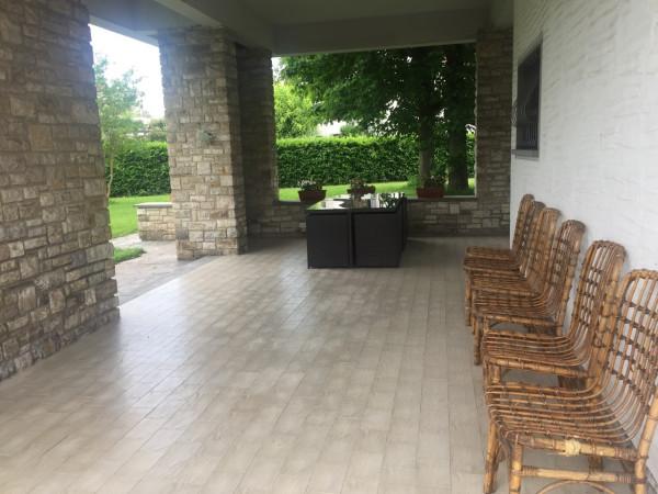 immagine annuncio 11 di 14