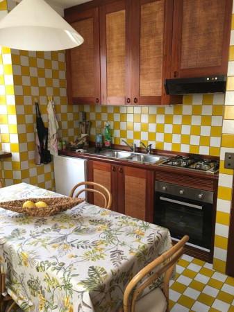 immagine annuncio 4 di 14