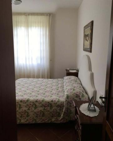 immagine annuncio 9 di 14