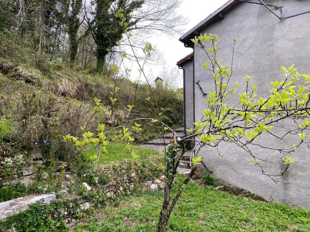 Terratetto in vendita a Castelnuovo Di Garfagnana