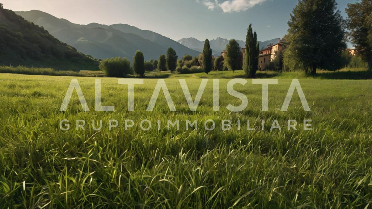 immagine annuncio 2 di 12