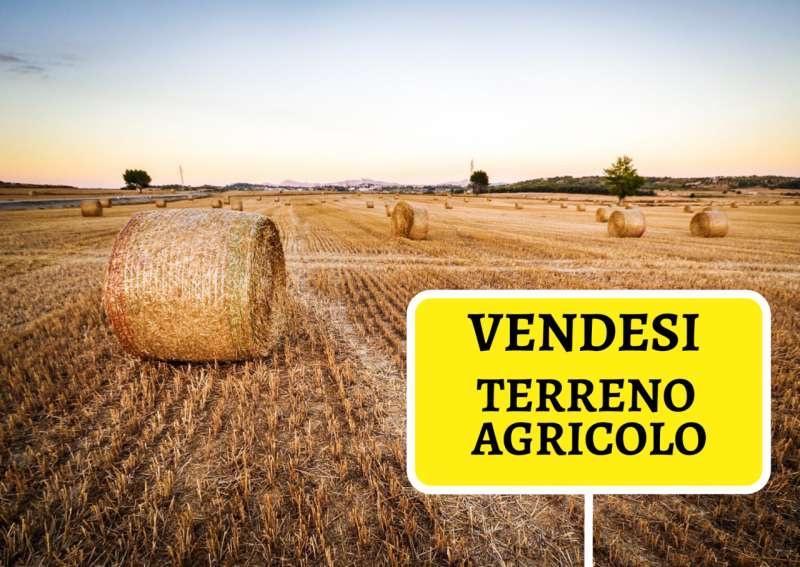 Terreno agricolo in vendita a Cascina