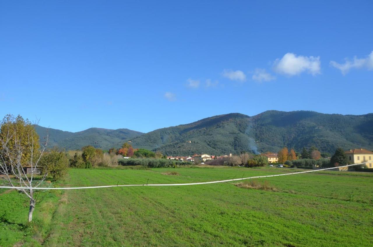 immagine annuncio 11 di 14