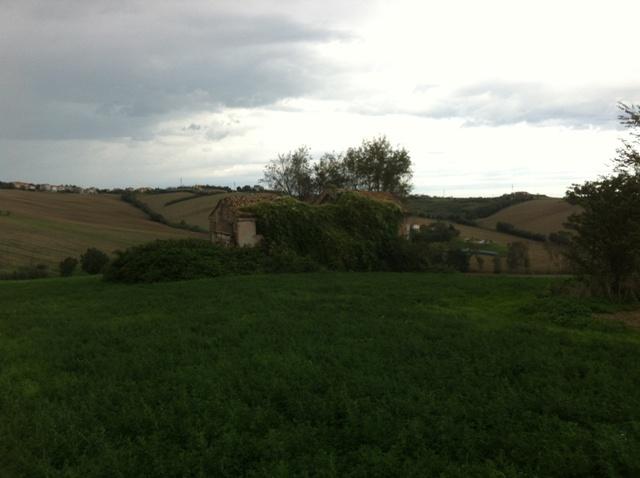 Rustico, Senigallia - Foto 1