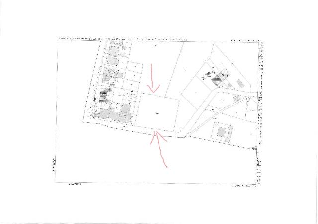 main planimetry real estate image