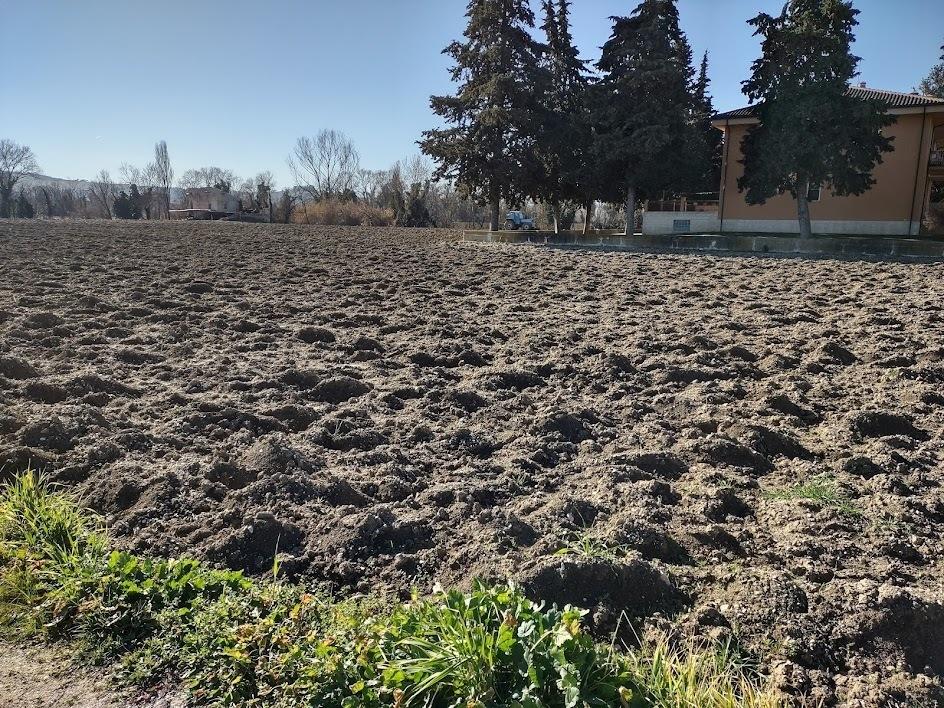 Terreno agricolo in vendita a Jesi