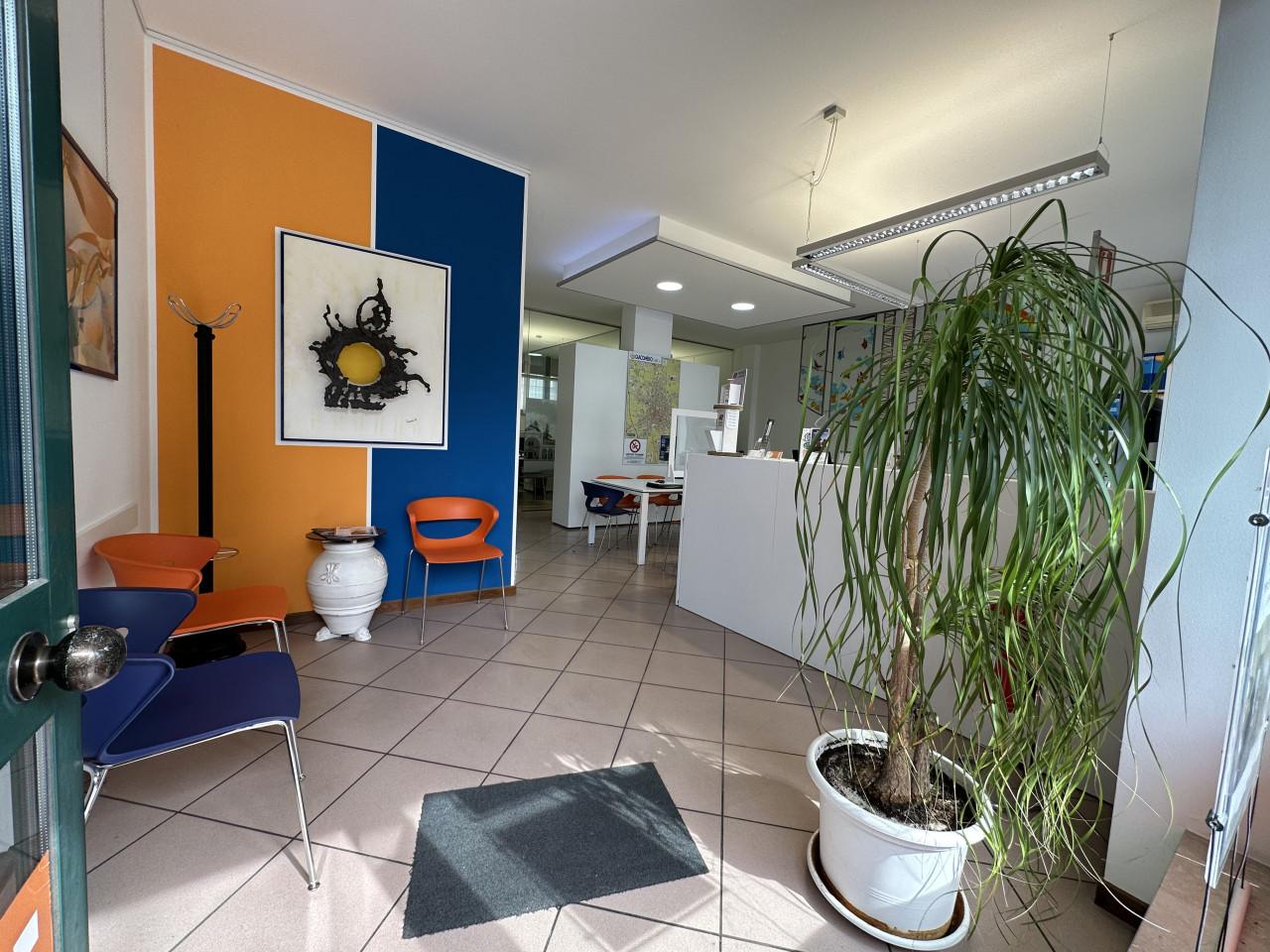Negozio in Viale Venezia 107, Udine - Foto 1