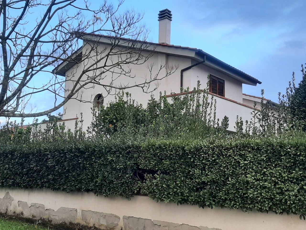 immagine annuncio 0 di 15