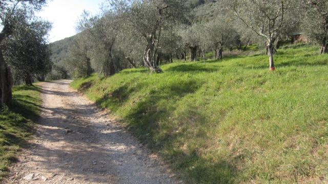 Terreno agricolo in {3}, Ia Belvedere Agnano 2 - Foto 1