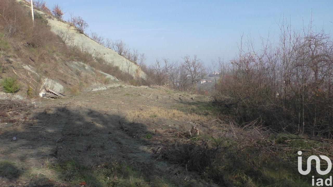 immagine annuncio 5 di 14