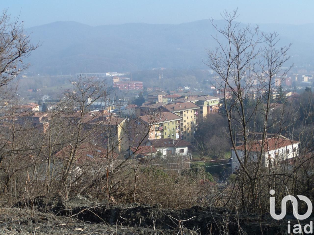 immagine annuncio 12 di 14