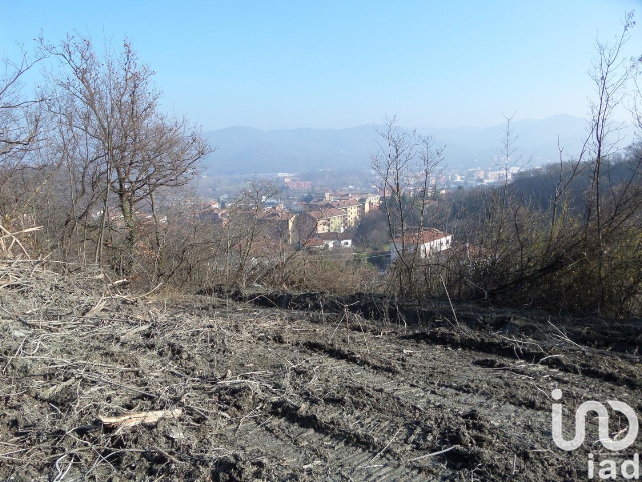 immagine annuncio 10 di 14
