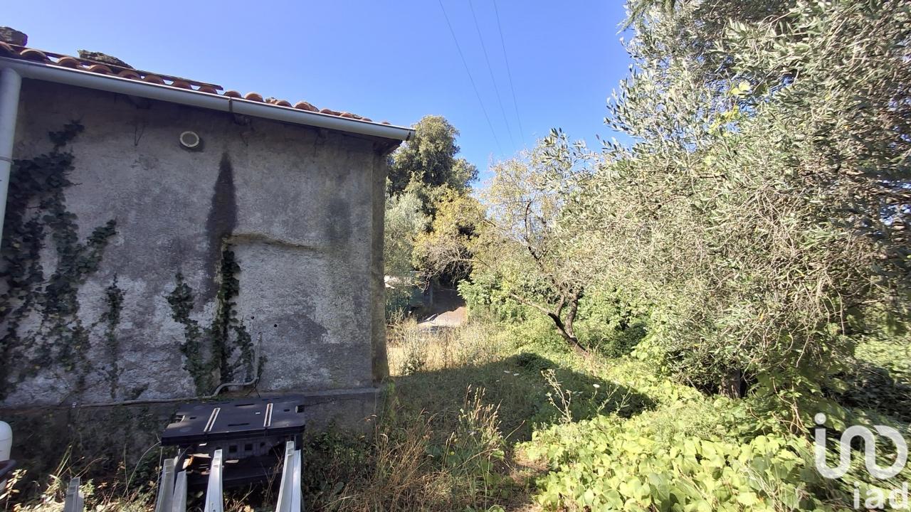 immagine annuncio 7 di 14