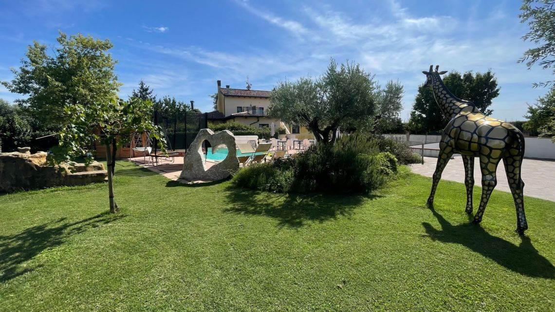 immagine annuncio 9 di 13
