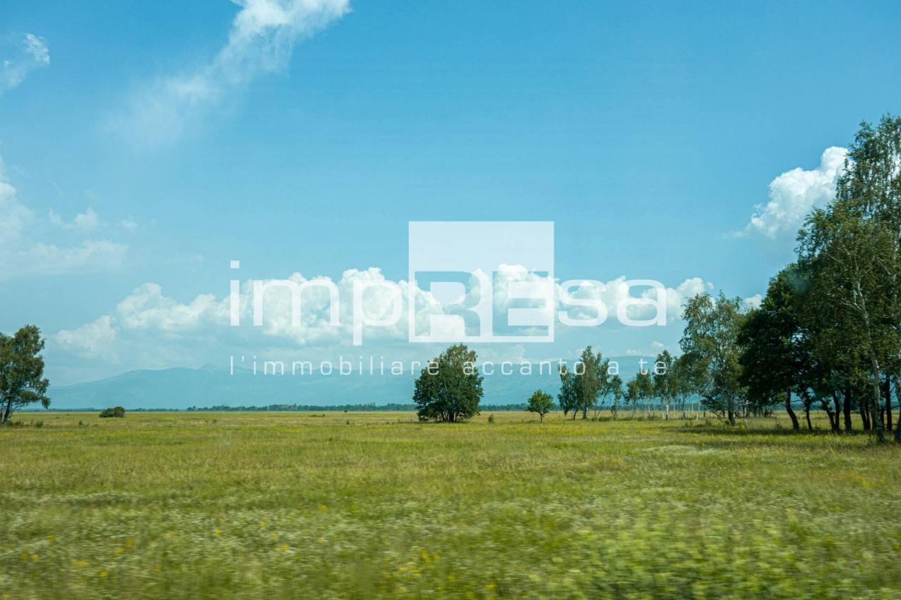immagine annuncio 9 di 11