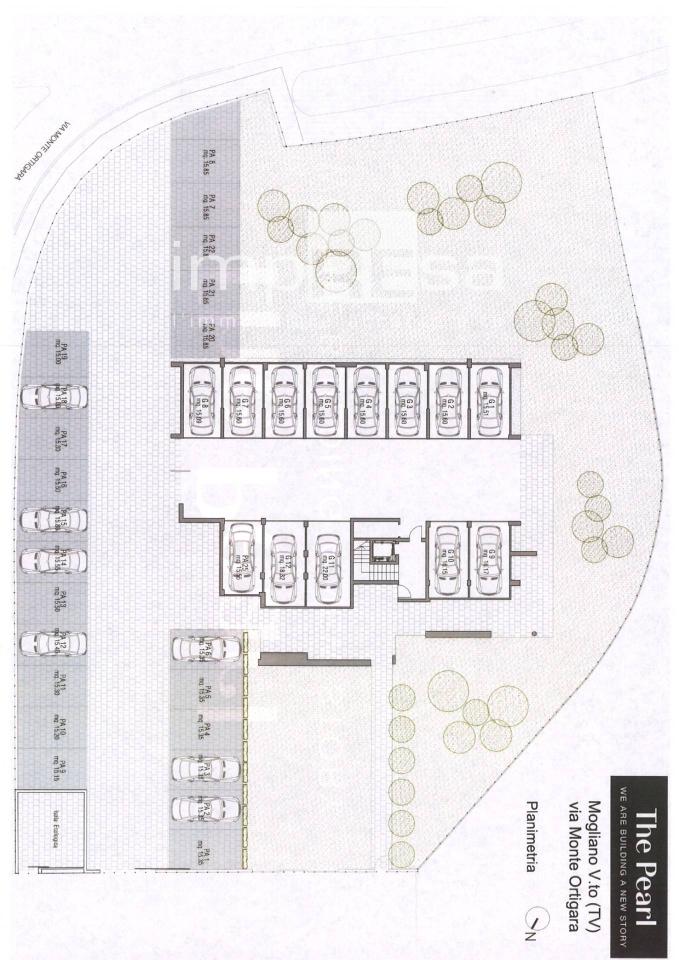 immagine annuncio 12 di 14