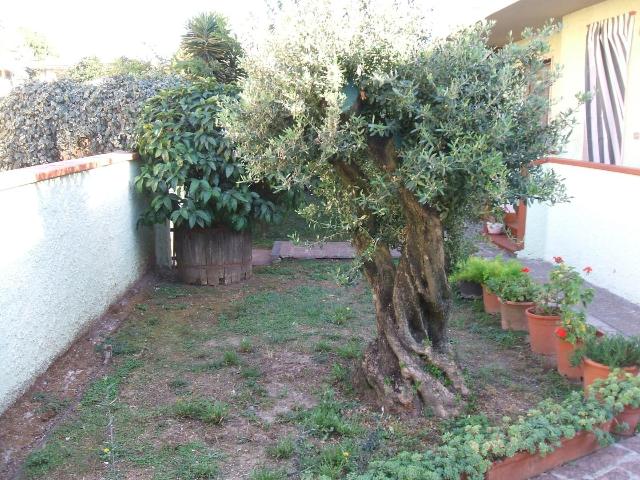 Attached house, Vecchiano - Photo 1