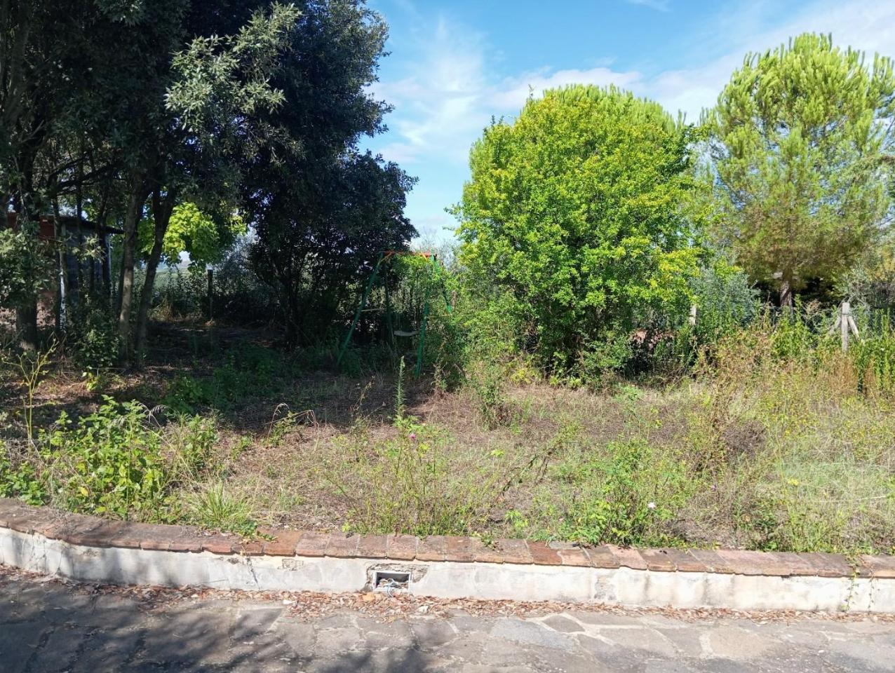 immagine annuncio 12 di 14