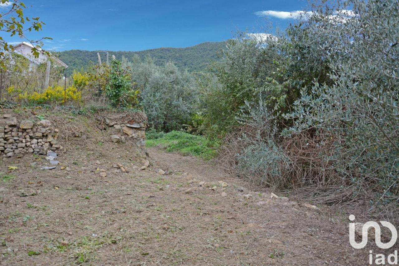 immagine annuncio 4 di 14