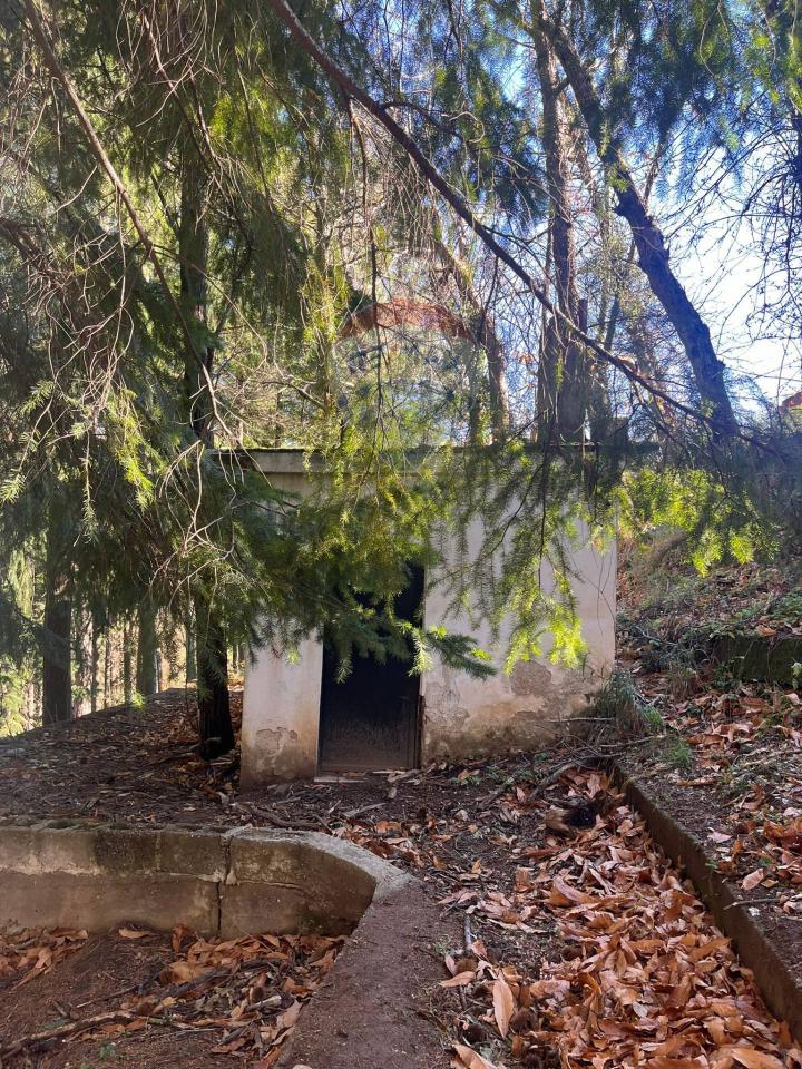 immagine annuncio 7 di 9