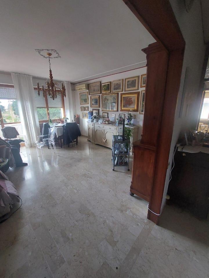 appartamento in vendita a Rosignano Marittimo in zona Rosignano Solvay