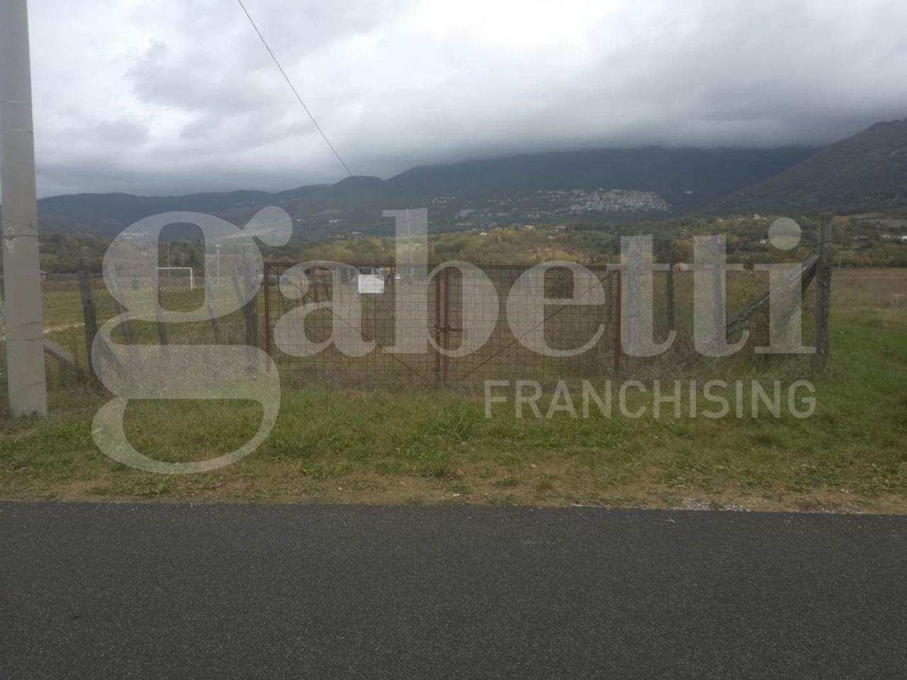 immagine annuncio 1 di 4