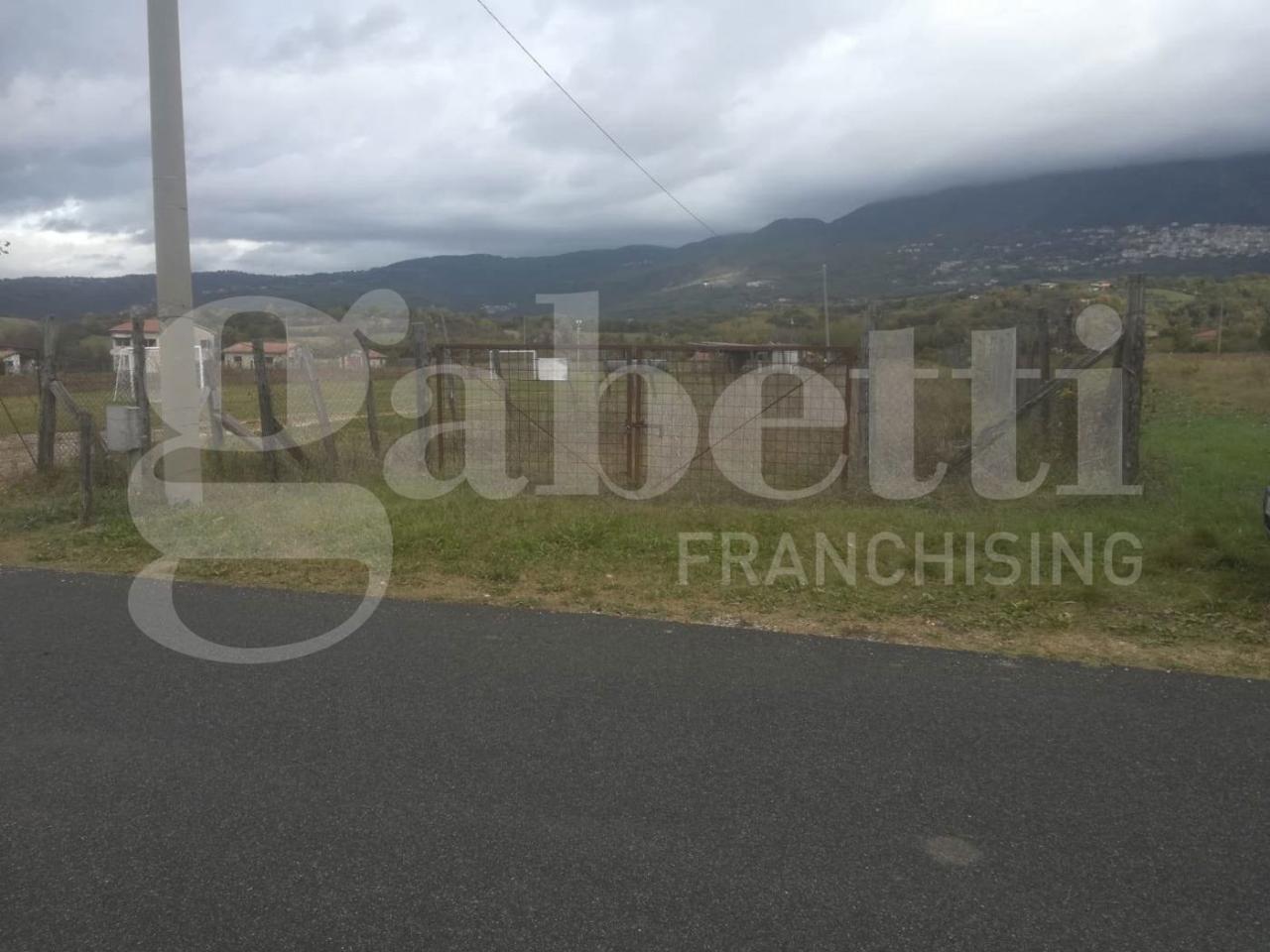 immagine annuncio 3 di 4