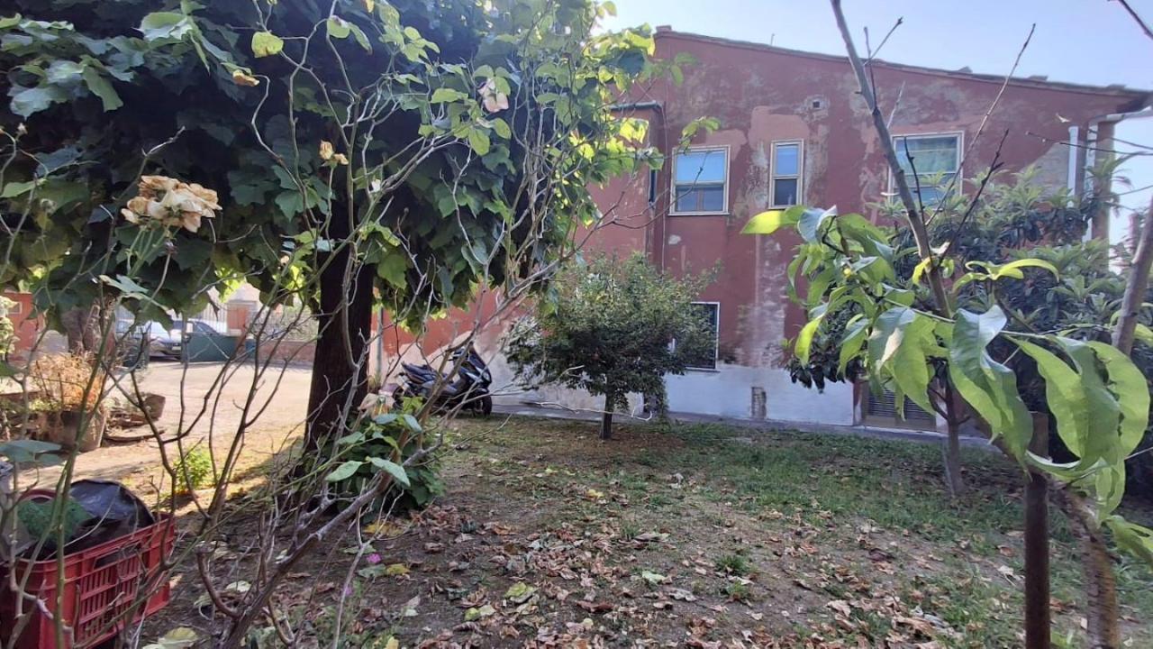 immagine annuncio 4 di 12