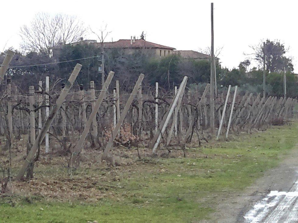 Azienda agricola in , San Gimignano, {3} - Foto 2