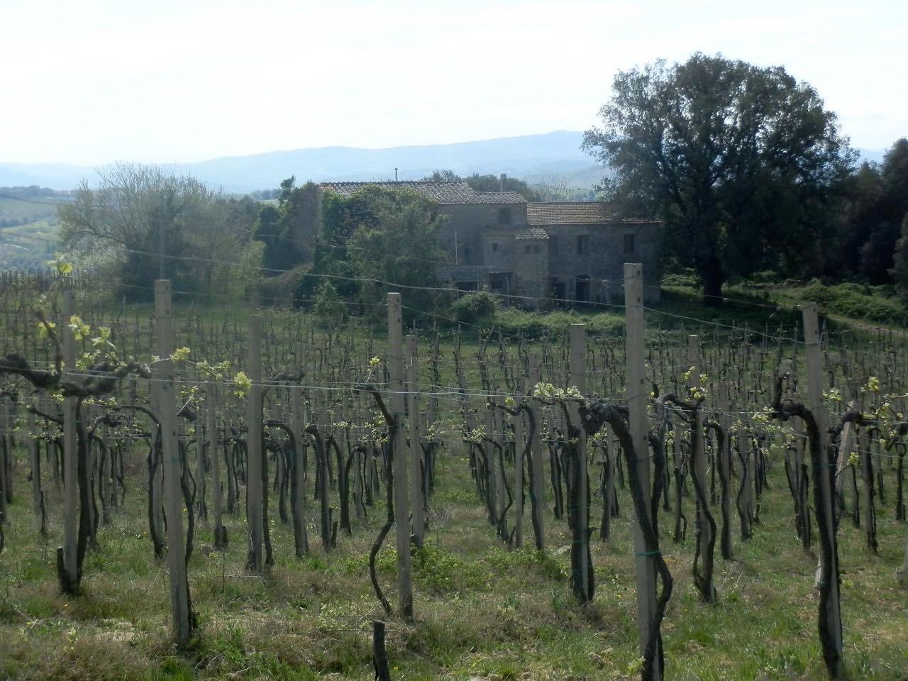 Azienda agricola in , San Gimignano, {3} - Foto 1