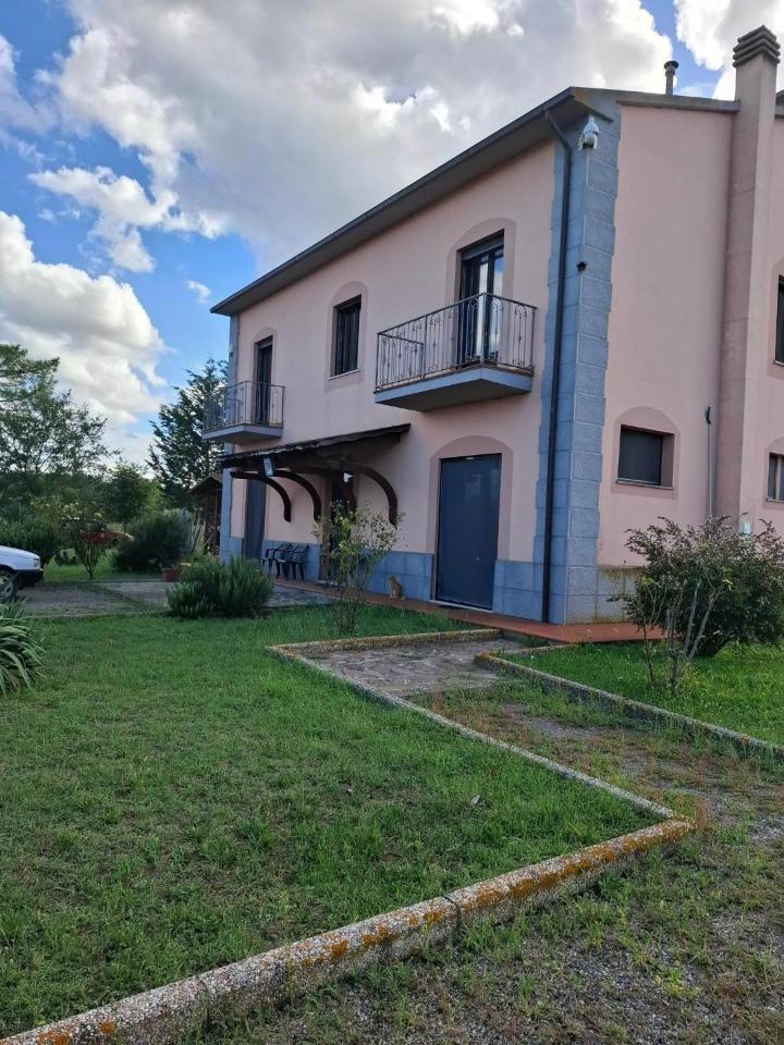 immagine annuncio 4 di 14
