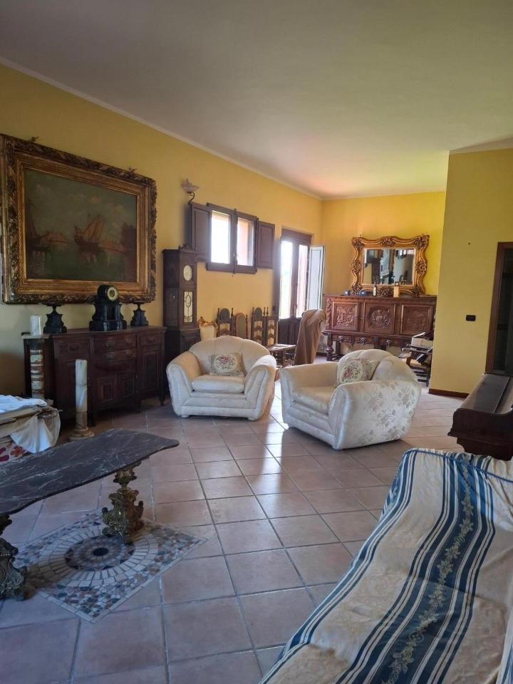 immagine annuncio 8 di 14