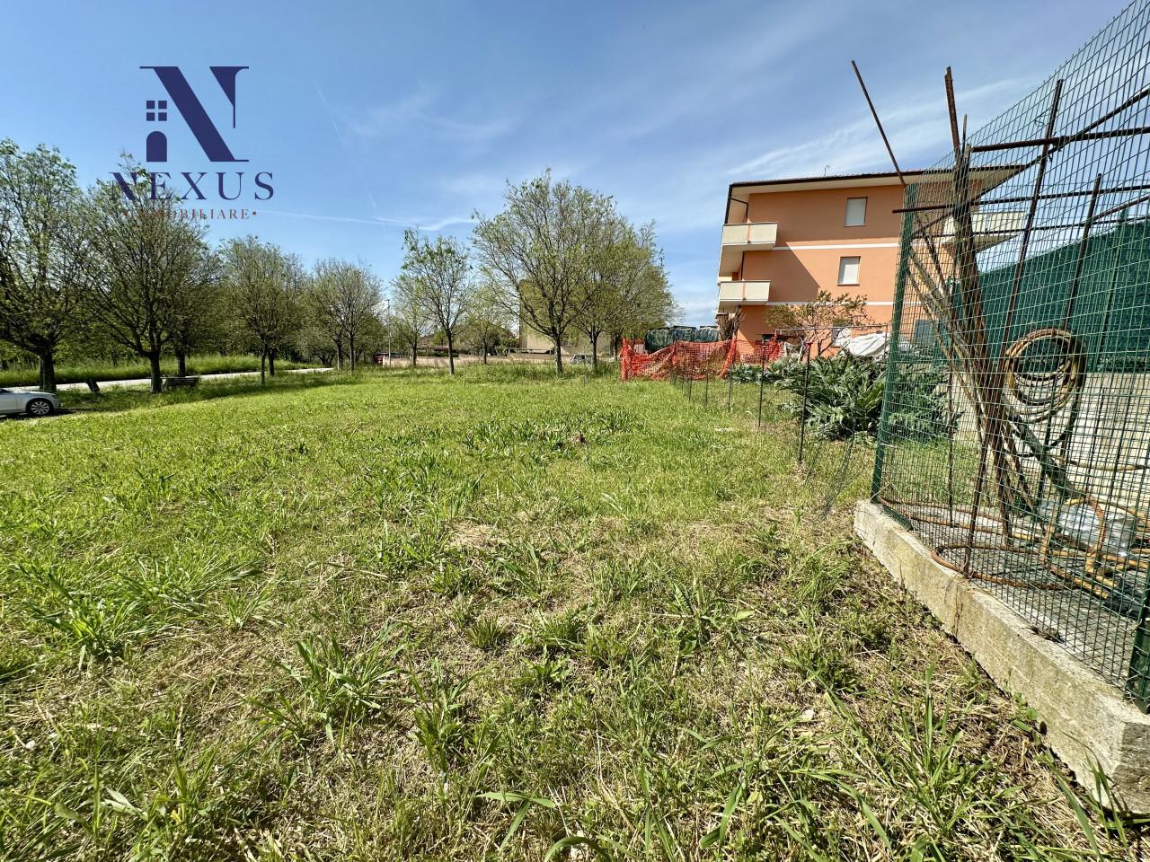 immagine annuncio 3 di 8