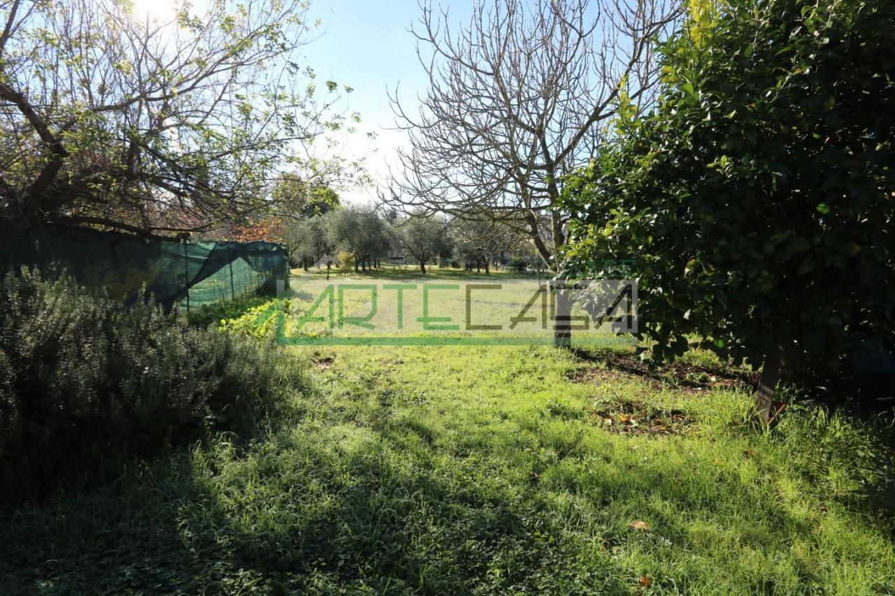 immagine annuncio 13 di 14