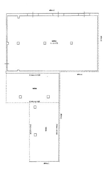 immagine annuncio 9 di 14