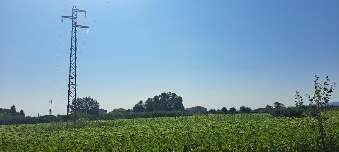 immagine annuncio 4 di 12