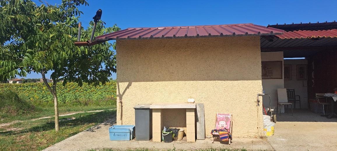 immagine annuncio 6 di 12