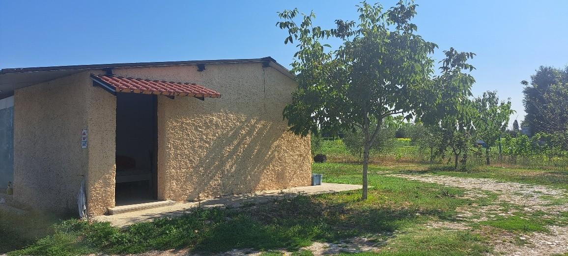 immagine annuncio 7 di 12