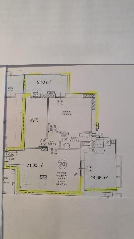 insertion image