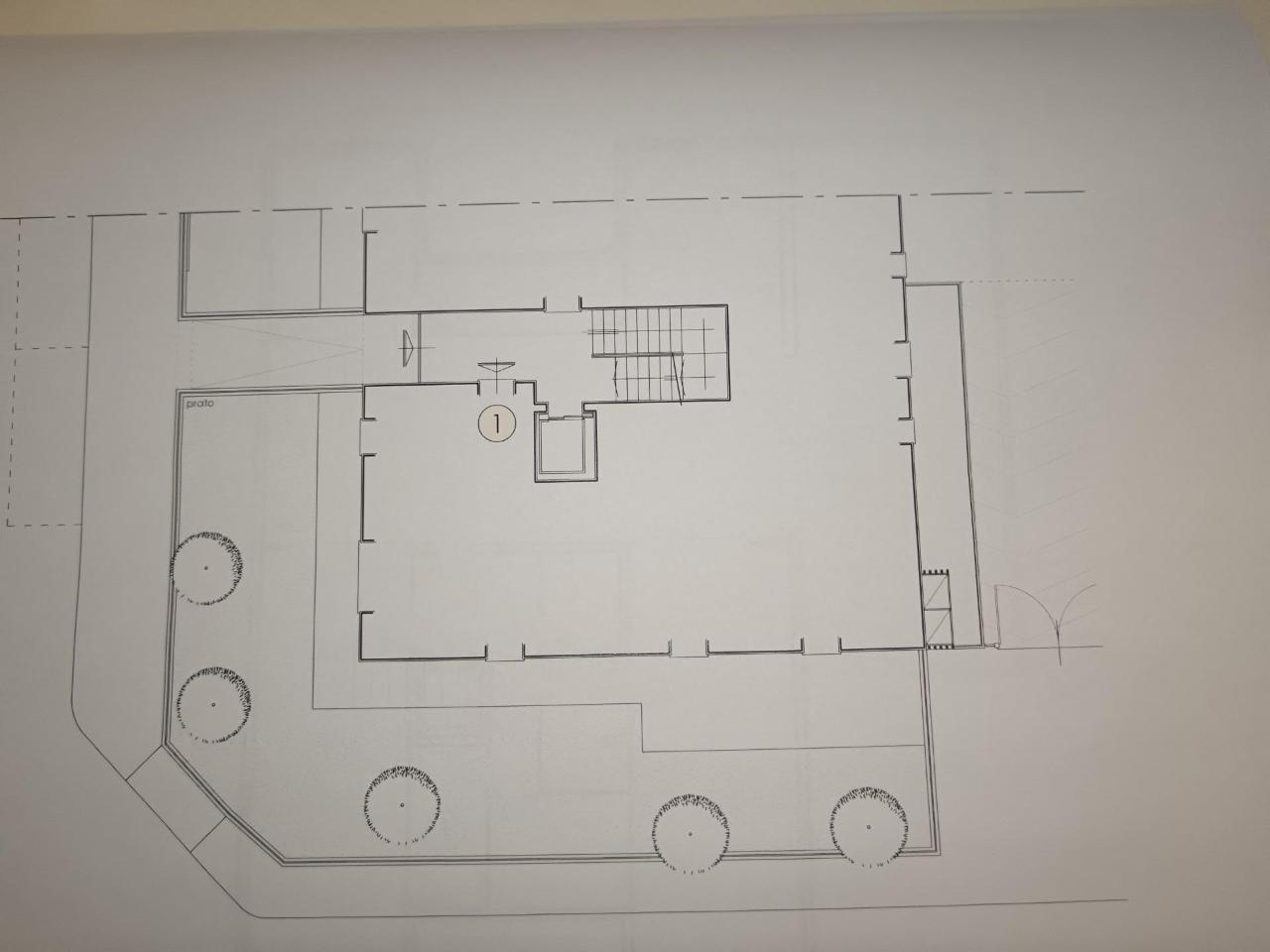 immagine annuncio 2 di 6