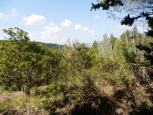 Villa, Casciana Terme Lari - Foto 1