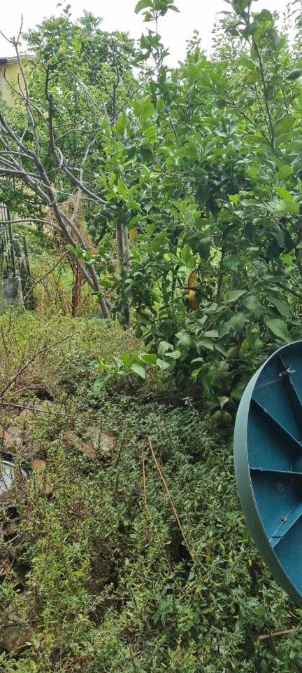 immagine annuncio 6 di 8