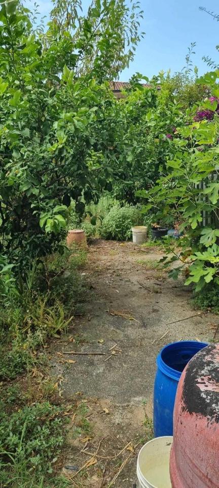 immagine annuncio 4 di 8