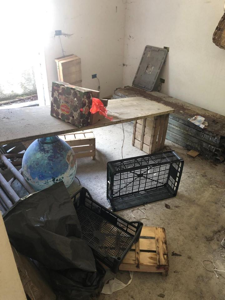 immagine annuncio 5 di 15